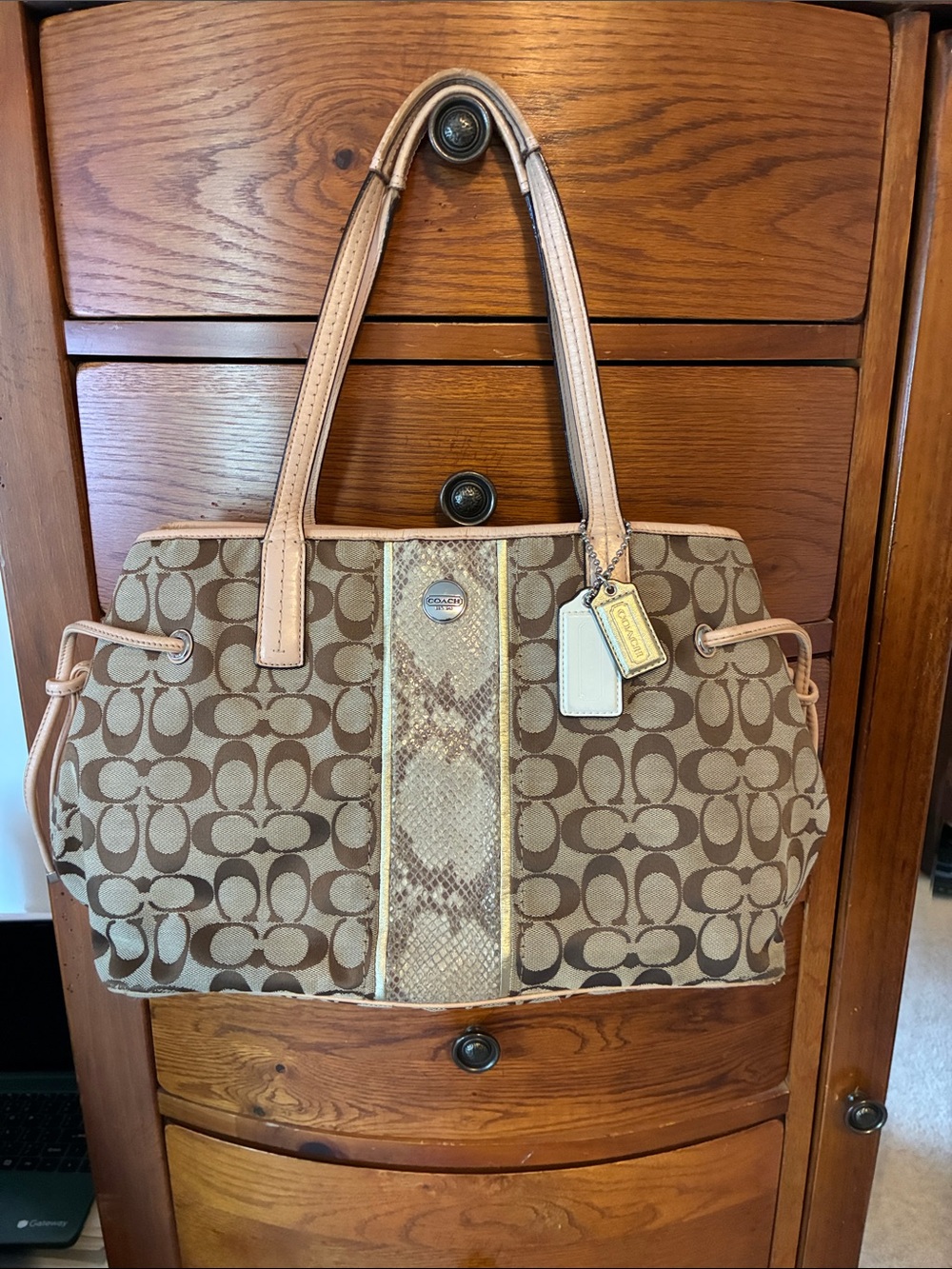 Coach F27363 Signature Stripe snake stripe vintage Carryall handbag tote y2k